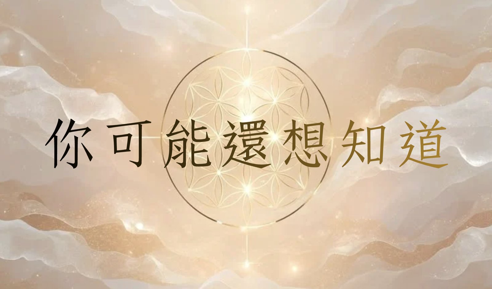官網-解讀-你可能還想知道